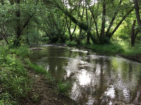 sendero molino del corcho|Senderos en la Sierra Norte de Sevilla